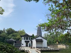 -红梅公园