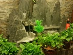 -莱仪堂艾灸经络养生馆(九亭一店)