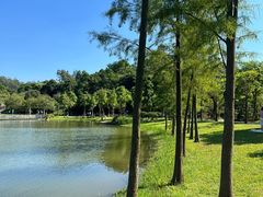 -东莞植物园