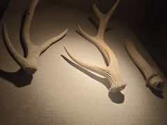 -南越王博物院(王宫展区)