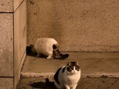 -中国人民大学游泳馆