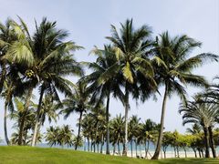 -海南清水湾莱佛士酒店