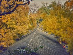 -大觉寺-停车场