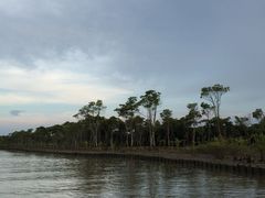 -东寨港红树林旅游区