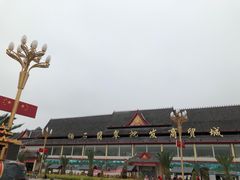-打洛口岸
