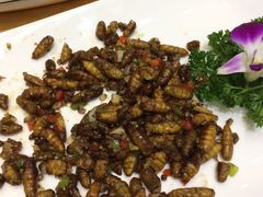 -瑞记湛江鸡饭店·粤西第一鸡(粤垦店)
