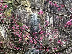 -楠溪江风景名胜区