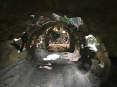 -多彩贵州城极地海洋世界