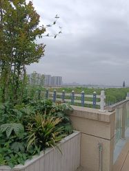 -美悦湾月子中心(熙湖店)