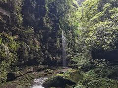 -碧峰峡风景区