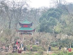 -岳麓山风景名胜区