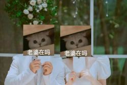 -金夫人婚纱摄影(总店)