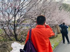 -香炉山国家森林公园