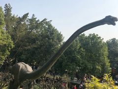 -自贡恐龙博物馆