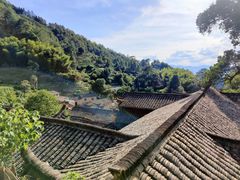 -杨家堂村