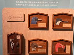 -中国湿地博物馆