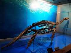 -自贡恐龙博物馆