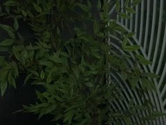 -华夏良子·足道SPA艾灸(金皇大厦店)