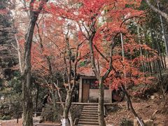 -莫干山风景区