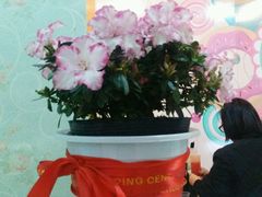 -潘大师炸鸡腿(莱蒙店)