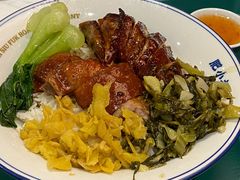 烧鹅-肥小福·烧鹅专门店(环宇荟店)