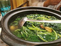 纯水浸时蔬-荟廷·晶萃(陆家嘴尚悦湾店)