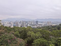 -金鸡山公园