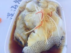 清蒸鳕鱼-深海中餐厅(国家海洋博物馆店)