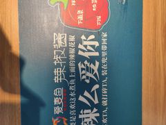 -爱妻鱼•老体北重庆水煮鱼•川菜(白云路店)