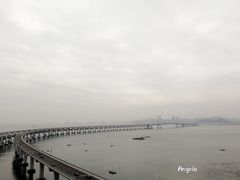 -星海湾跨海大桥