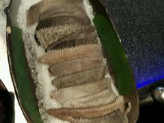 -王家渡火锅店(亦庄店)