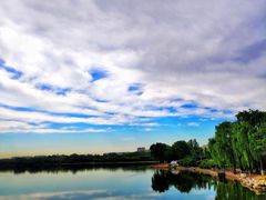 -大兴滨河森林公园