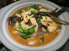招牌年糕大桂鱼-香阁餐厅·常州菜·常州菜代表品牌(新北奥体店)