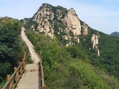 -大岭沟猕猴桃谷风景区