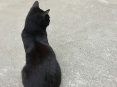 -久萌教培·仙霞网球中心官方培训