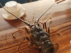 -花乐餐厅(涠洲岛店)