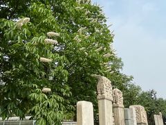 -北京石刻艺术博物馆(五塔寺)