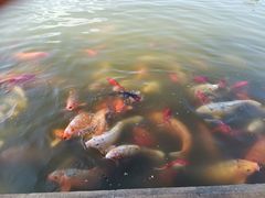 -月牙潭公园