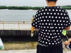 -白洋淀景区