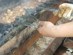 -新疆风味冷水鱼庄(友谊峰路店)