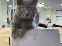 -安安宠医·安宠宠物医院