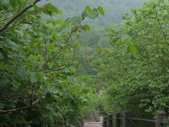 -天台山赤城山景区