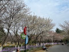 -白塘生态植物园