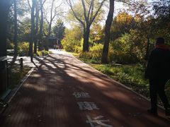 -长春市南湖公园