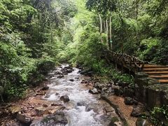 -江西阳明山国家森林公园