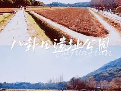 -八卦田遗址公园
