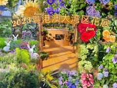 -深圳仙湖植物园