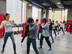 -极斗-IKMF马伽术·格斗运动学院(东直门店)