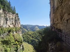 -芦芽山旅游度假区