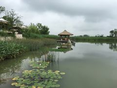 -苏州湾王焰温泉度假酒店